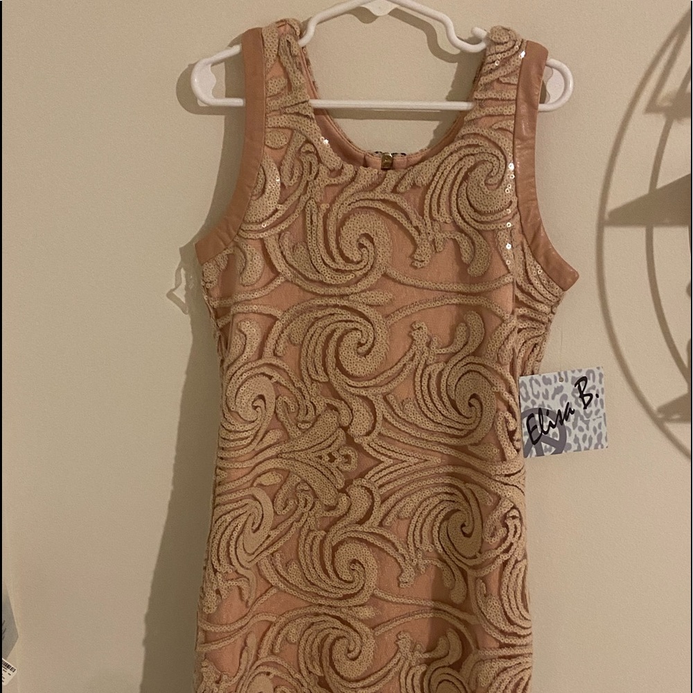 Never worn Elisa B. Dress